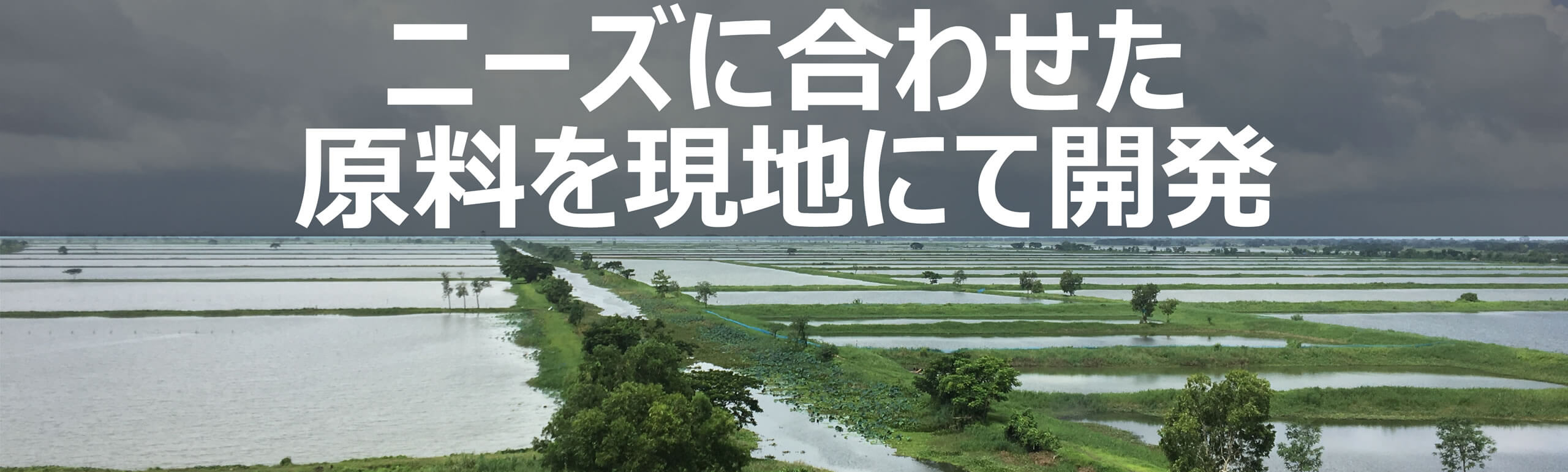 ニーズに合わせた原料を現地にて開発